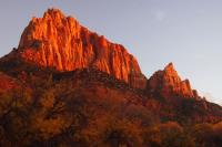 Zion Fire